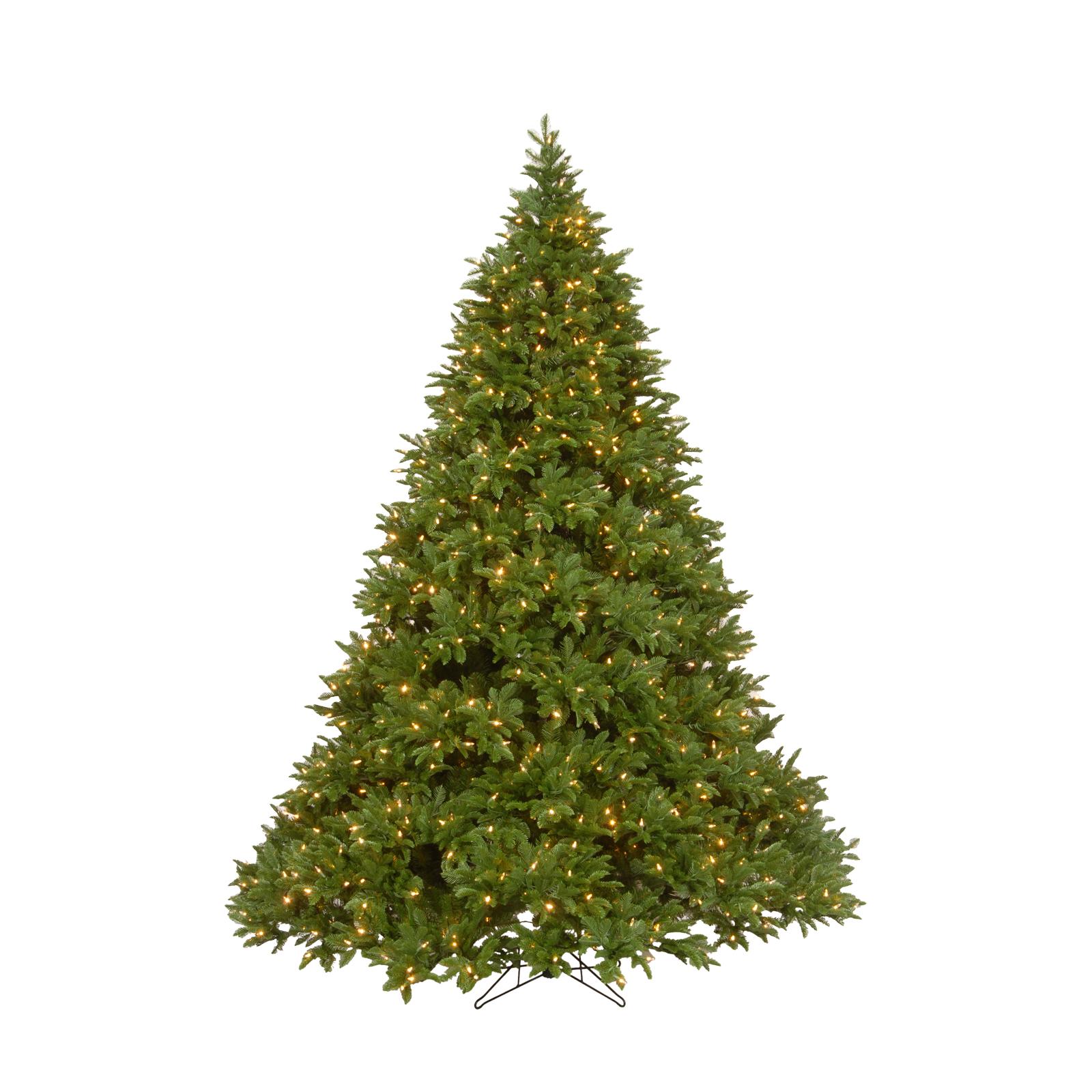 National Tree Company 7.5 ft. Empire Grande Fir Deluxe Tree with Dual Color® LED Lights - image 1 of 4