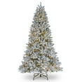thumbnail image 1 of National Tree Company 7.5 ft. Iceland Fir Tree with Dual Color® LED Cosmic Lights®, 1 of 4