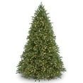 thumbnail image 1 of National Tree Company 7.5 ft. Jersey Fraser Fir Deluxe Tree with Dual Color® LED Lights, 1 of 3