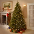 thumbnail image 1 of National Tree Company 7.5 ft. Lakewood Spruce Tree with Dual Color® LED Lights, 1 of 6