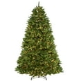 thumbnail image 1 of National Tree Company 7.5 ft. Newberry® Spruce Tree with Dual Color® LED Cosmic Lights®, 1 of 7