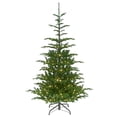 thumbnail image 1 of National Tree Company 7.5 ft. Norwegian Spruce Tree with Clear Lights, 1 of 6