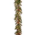 thumbnail image 1 of National Tree Company 9 ft. Frosted Pine Berry Garland with Clear Lights, 1 of 3
