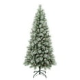 thumbnail image 1 of National Tree Company Artificial Christmas Tree, Green, Perry Hard Needle Mixed Pine, White Spayed Tips, Pine Cones, Includes Stand, 6 Feet, 1 of 3