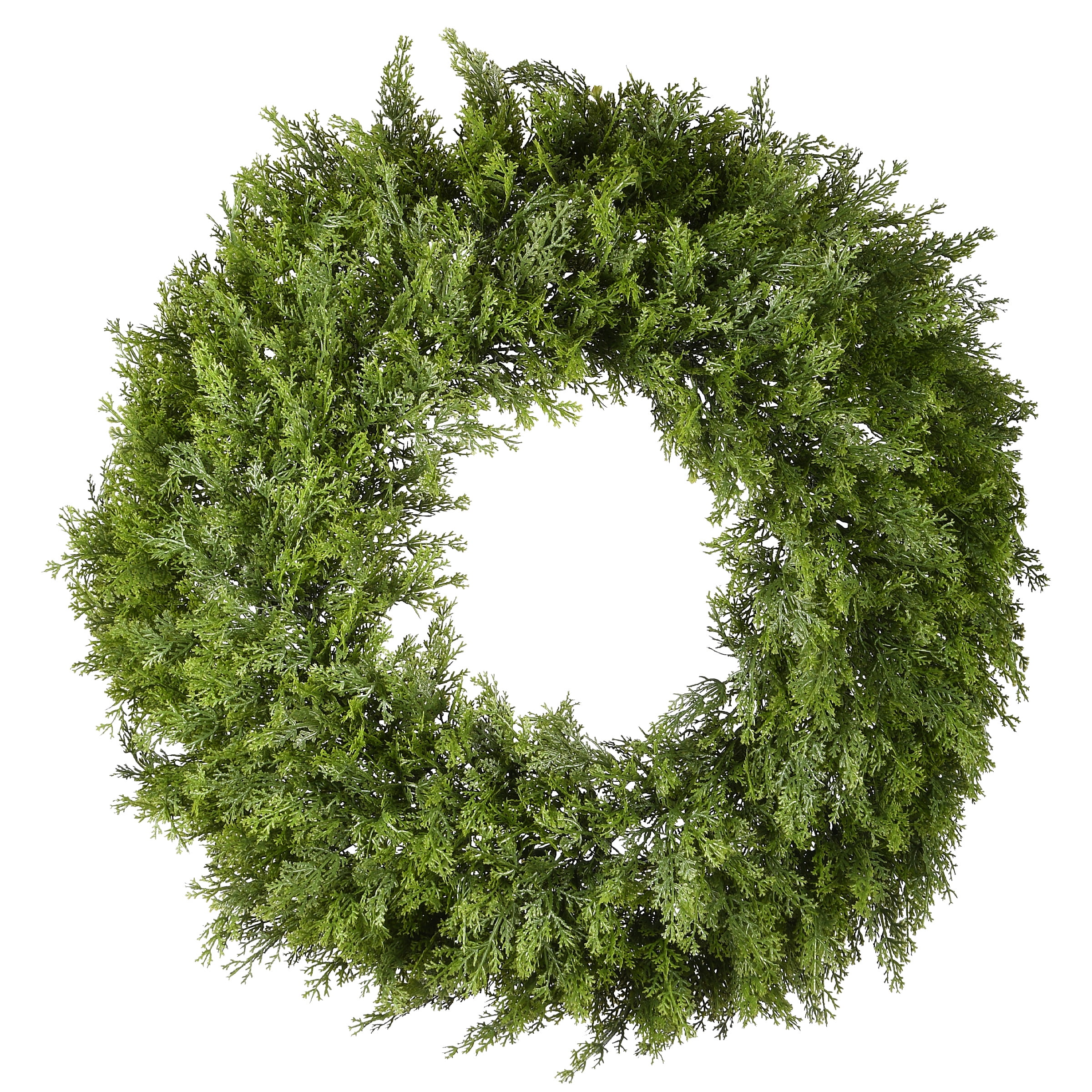 National Tree Company Artificial Christmas Wreath, Green, Arborvitae, 24 Inch