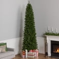 thumbnail image 1 of National Tree Company 10 ft Unlit Kingswood Fir Slim Artificial Christmas Tree, 1,715 Tips, Includes Stand, Green, 1 of 7