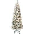 National Tree Company First Traditions PreLit Acacia Flocked Tree