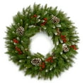 thumbnail image 1 of National Tree Company Frosted Berry Wreath, Green, Berries, Pinecones, Unlit, 24 Inch, Indoor or Outdoor Use., 1 of 4