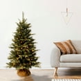 thumbnail image 1 of 4 ft. Pre-Lit Artificial Burlap Tree, Clear Lights, Feel Real Branch Tip Technology, 1 of 6
