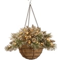 thumbnail image 1 of National Tree Company Pre-Lit Artificial Christmas Hanging Basket, Glittery Bristle Pine, Decorated With Frosted Pine Cones, White LED Lights, Christmas Collection, 20 Inches, 1 of 5