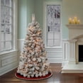 thumbnail image 1 of National Tree Company 4.5 ft. Pre-Lit Artificial Acacia Christmas Tree, Green, Flocked, 100 Clear Lights, Includes Stand, 1 of 6
