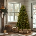 thumbnail image 1 of National Tree Company 6.5 ft Pre-Lit Dunhill Fir Artificial Christmas Tree, 600 LED Lights, 1,838 Tips, PowerConnect, Foot Pedal, 10 Light Functions, Includes Stand, Green, 1 of 9