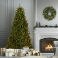 thumbnail image 1 of National Tree Company 7.5 ft Pre-Lit Dunhill Fir Artificial Christmas Tree, 700 LED Lights, 2,514 Tips, PowerConnect, Foot Pedal, 10 Light Functions, Includes Stand, Green, 1 of 8