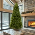 thumbnail image 1 of National Tree Company 12 ft Pre-Lit Dunhill Fir Artificial Christmas Tree, 1,200 LED Lights, 7,794 Tips, PowerConnect, Foot Pedal, 10 Light Functions, Includes Stand, Green, 1 of 10