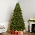thumbnail image 1 of National Tree Company 10 ft Pre-Lit Dunhill Fir Full Artificial Christmas Tree, 1,200 LED Lights, 5,090 Tips, Foot Pedal, 10 Light Functions, Includes Stand, Green, 1 of 8