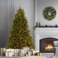 thumbnail image 1 of National Tree Company 7.5 ft Pre-Lit Dunhill Fir Artificial Christmas Tree, 700 LED Lights, 2,514 Tips, Foot Pedal, 10 Light Functions, Includes Stand, Green, 1 of 9