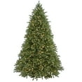 thumbnail image 1 of National Tree Company Pre-Lit Artificial Christmas Tree, Green, Jersey Fraser Fir, Feel Real®, Includes Stand, 7.5 Feet, 1 of 5