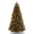 thumbnail image 1 of National Tree Company Pre-Lit Artificial Christmas Tree, Green, North Valley® Spruce, Clear Lights, Includes Stand, 9 Feet, 1 of 4