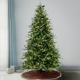 thumbnail image 1 of National Tree Company 7.5 ft. Pre-Lit Artificial Skykomish Pine Christmas Tree, Green, 550 Warm White LED Lights, Includes Stand, 1 of 7