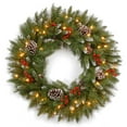 thumbnail image 1 of National Tree Company Pre-Lit Artificial Christmas Wreath, Green, Frosted Berry, Clear Lights, Decorated with Pine Cones, Berry Clusters, Frosted Branches,  24 Inches, 1 of 4