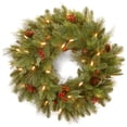 thumbnail image 1 of National Tree Company Pre-Lit Artificial Christmas Wreath, Green, Noelle, White Lights, Decorated with Pine Cones, Berry Clusters, Christmas Collection, 24 Inches, 1 of 5
