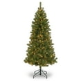 thumbnail image 1 of National Tree Company Pre-Lit Artificial Full Christmas Tree, Green, Canadian Fir Grande, White Lights, Includes Stand, 7 Feet, 1 of 3