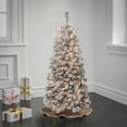 thumbnail image 1 of National Tree Company 4.5 ft. Pre-Lit Artificial Acacia Medium Christmas Tree, Green, 100 Clear Lights, Flocked, Includes Stand, 1 of 6