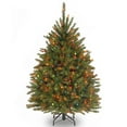 thumbnail image 1 of National Tree Company Pre-Lit Artificial Christmas Tree, Green, Dunhill Fir, Multicolor Lights, Includes Stand, 4 Feet, 1 of 4