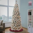 thumbnail image 1 of 6 ft. Pre-Lit Artificial Acacia Pencil Slim Christmas Tree, Green, 250 Clear Lights, Flocked, Includes Stand, 1 of 6