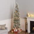 thumbnail image 1 of National Tree Company 7.5 ft. Pre-Lit Artificial Acacia Pencil Slim Christmas Tree, Green, 350 Clear Lights, Flocked, Includes Stand, 1 of 8