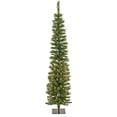 thumbnail image 1 of National Tree Company 6 ft. Pre-Lit Artificial Pencil Slim Christmas Tree, Green, Nooksack Fir, 250 Warm White LED Lights, Includes Stand, 1 of 4