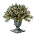 thumbnail image 1 of National Tree Company Pre-Lit Artificial Porch Bush, Green, Glittery Bristle® Pine, Silver Glitter, Pine Cones,  50 Twinkly™ Lights brand smart LED lights,  Silver Gray Brushed Pedestal Urn, 24 Inch, 1 of 5
