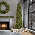 thumbnail image 1 of National Tree Company 12 ft Pre-Lit Carolina Pine Slim Artificial Christmas Tree, 1,000 Clear Lights, 1,900 Tips, Includes Stand, Green, 1 of 8