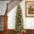 thumbnail image 1 of National Tree Company 9 ft. Pre-Lit Carolina Pine Slim Artificial Christmas Tree with 800 Clear Lights, Slim Profile, 1 of 10