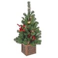 thumbnail image 1 of National Tree Company 3 ft. Pre-Lit Artificial Vienna Waltz Tabletop Tree, Green, Red Berries, Gold Ball Ornaments, Bronze Base, 35 Warm White Battery Operated LED Lights, Timer, 1 of 4