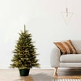 thumbnail image 1 of National Tree Company 3 ft. Pre-Lit Artificial Tree, Green, Everyday Collection, Clear Lights, Green Pot, 1 of 6