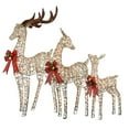 thumbnail image 1 of National Tree Company Pre-Lit  Deer Family, Set of 3, Warm White Lights, LED,  60 Inch, 52 Inch, 36 Inch, Indoor or Outdoor Use., 1 of 5