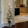 thumbnail image 1 of National Tree Company 4 ft. Pre-Lit Feel Real® Artificial Iceland Fir Christmas Entrance Tree, Green, Flocked, 100 Clear Lights, Silver Pedestal Urn, 1 of 6