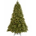 thumbnail image 1 of National Tree Company Pre-Lit Feel Real® Artificial Christmas Tree, Green, Downswept Douglas® Fir, Dual Color® LED Lights, Includes PowerConnect System and Stand, 7.5 Feet, 1 of 5