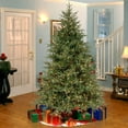 thumbnail image 1 of National Tree Company 6.5 ft. Pre-Lit Feel Real® Artificial Fraser Grande Christmas Tree, Green, Dual Color® LED Lights, Includes Stand, 1 of 7