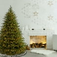 thumbnail image 1 of National Tree Company 6.5 ft. Pre-Lit Feel Real® Artificial Norway Christmas Tree, Green, 750 Clear Lights, Includes Stand, 1 of 6