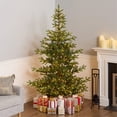 thumbnail image 1 of National Tree Company 6.5 ft. Pre-Lit Feel Real® Artificial Norwegian Spruce Christmas Tree, Green, Clear Lights, Includes Stand, 1 of 9