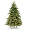thumbnail image 1 of National Tree Company Pre-Lit 'Feel Real' Artificial Full Christmas Tree, Green, Frasier Grande, Dual Color LED Lights, Includes Stand, 7 Feet, 1 of 6