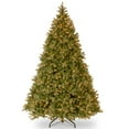 National Tree Company 9ft. Downswept Douglas®Fir Tree with Clear Lights