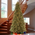 thumbnail image 1 of National Tree Company 9 ft. Pre-Lit Feel Real® Artificial Tiffany Fir Slim Christmas Tree, Green, Clear Lights, Includes Stand, 1 of 7