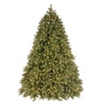 thumbnail image 1 of National Tree Company 9 ft. Deluxe Downswept Douglas Fir Tree with Dual Color LED Lights, 1 of 4