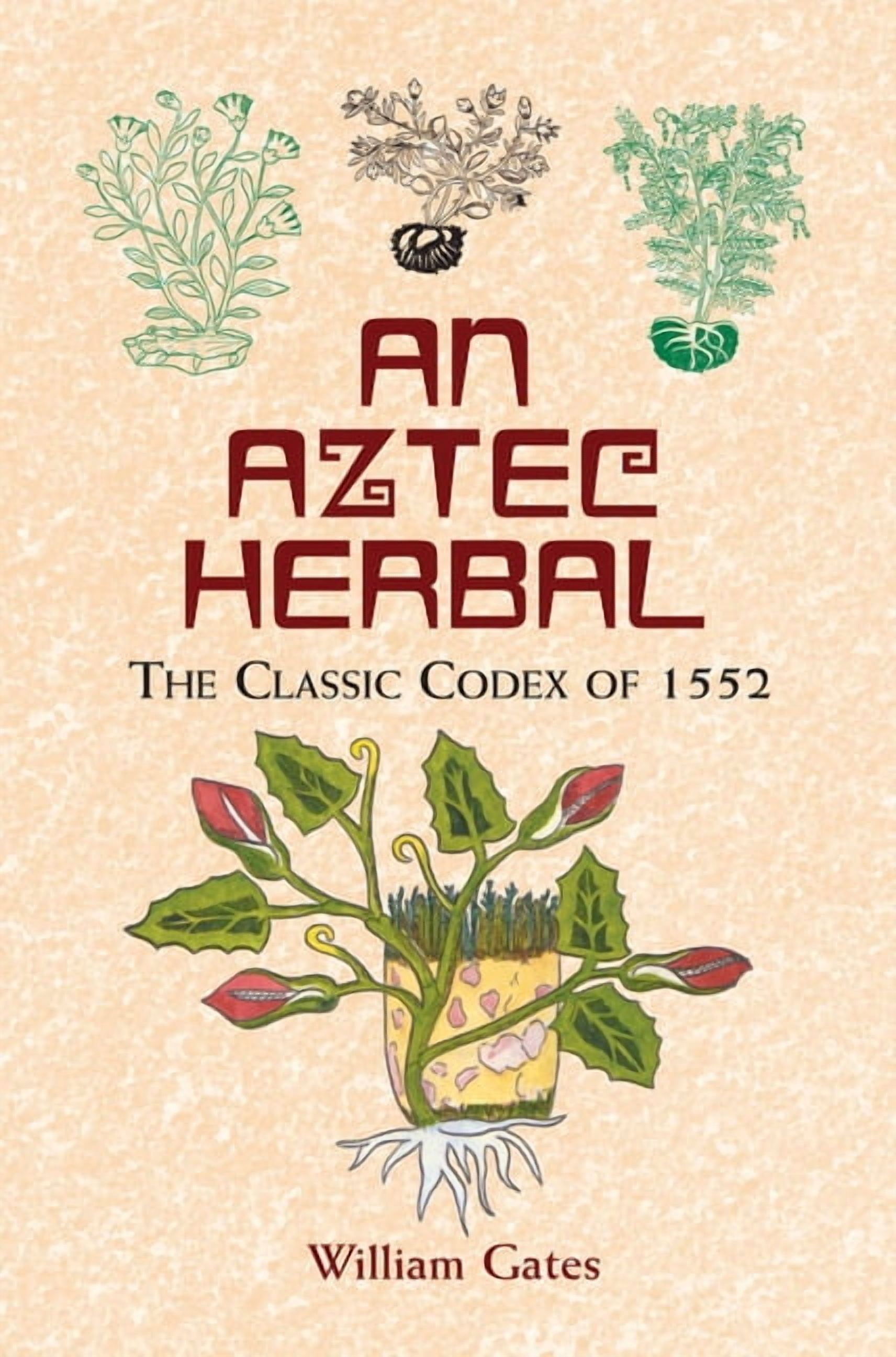 Native American: An Aztec Herbal : The Classic Codex of 1552 (Paperback)
