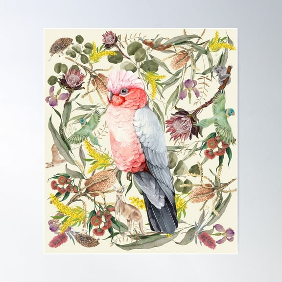 Native Australian Fauna - Pink Galah Poster Wall Art, Modern Wall Decor For Living Room Bedroom, 8x12 UNFRAMED
