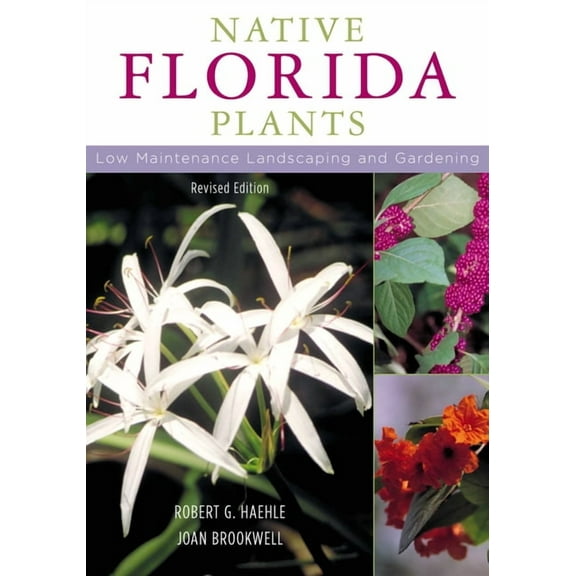 Native Florida Plants: Low Maintenance Landscaping and Gardening, (Paperback)