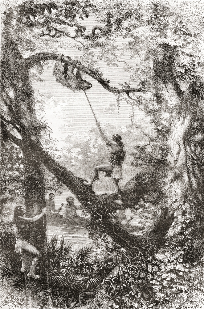 Native Indians capturing a tree sloth on the Oyapock or Oiapoque River South America in the 19th century From Am Canvas Art - Ken Welsh  Design Pics (11 x 17)